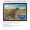 ArtToFrames 27x20 INCH / CM Puzzle Frame for 2000 piece Puzzles.This 1.00 Inch Custom Wood Frame for Puzzles Comes with Economy Acrylic, Available in Multiple Colors